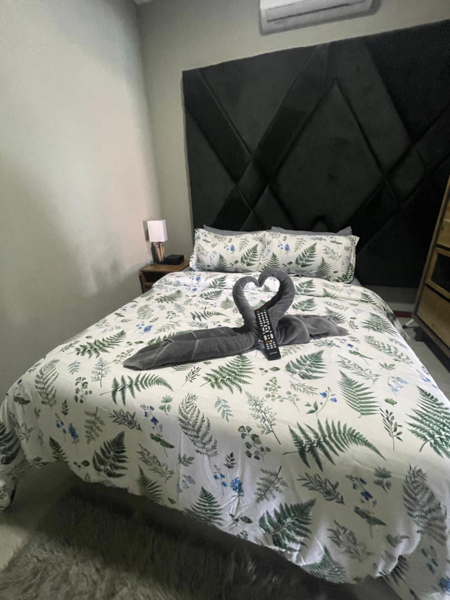 Pavema Apartments 帕拉马里博 外观 照片
